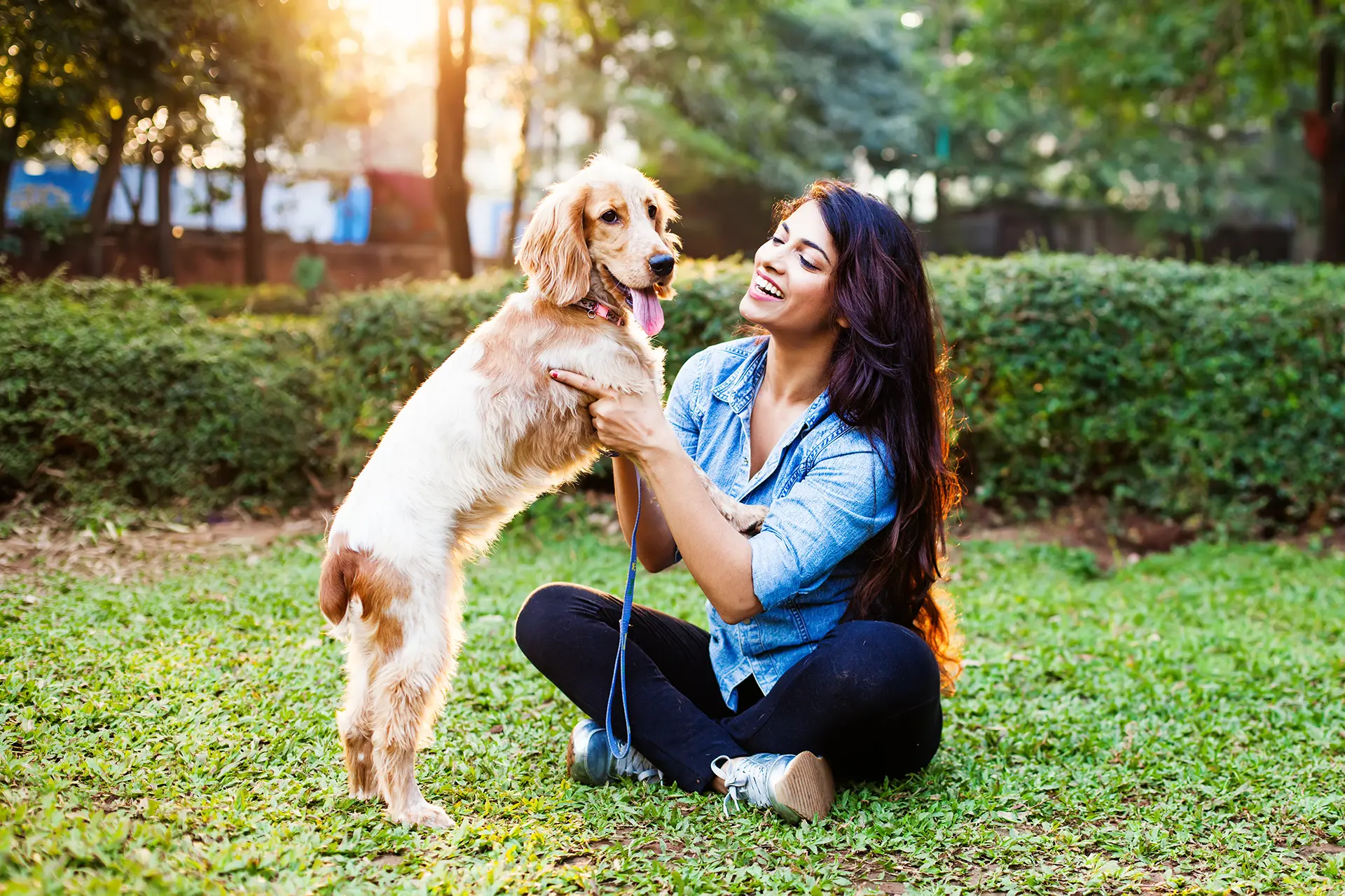 How to Introduce a Puppy to Your Home Successfully