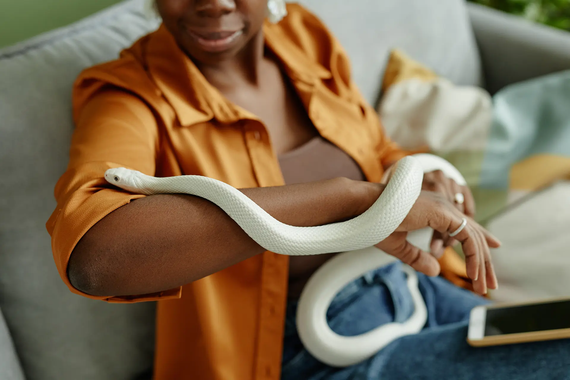Snake Care 101: Keeping Your Pet Healthy