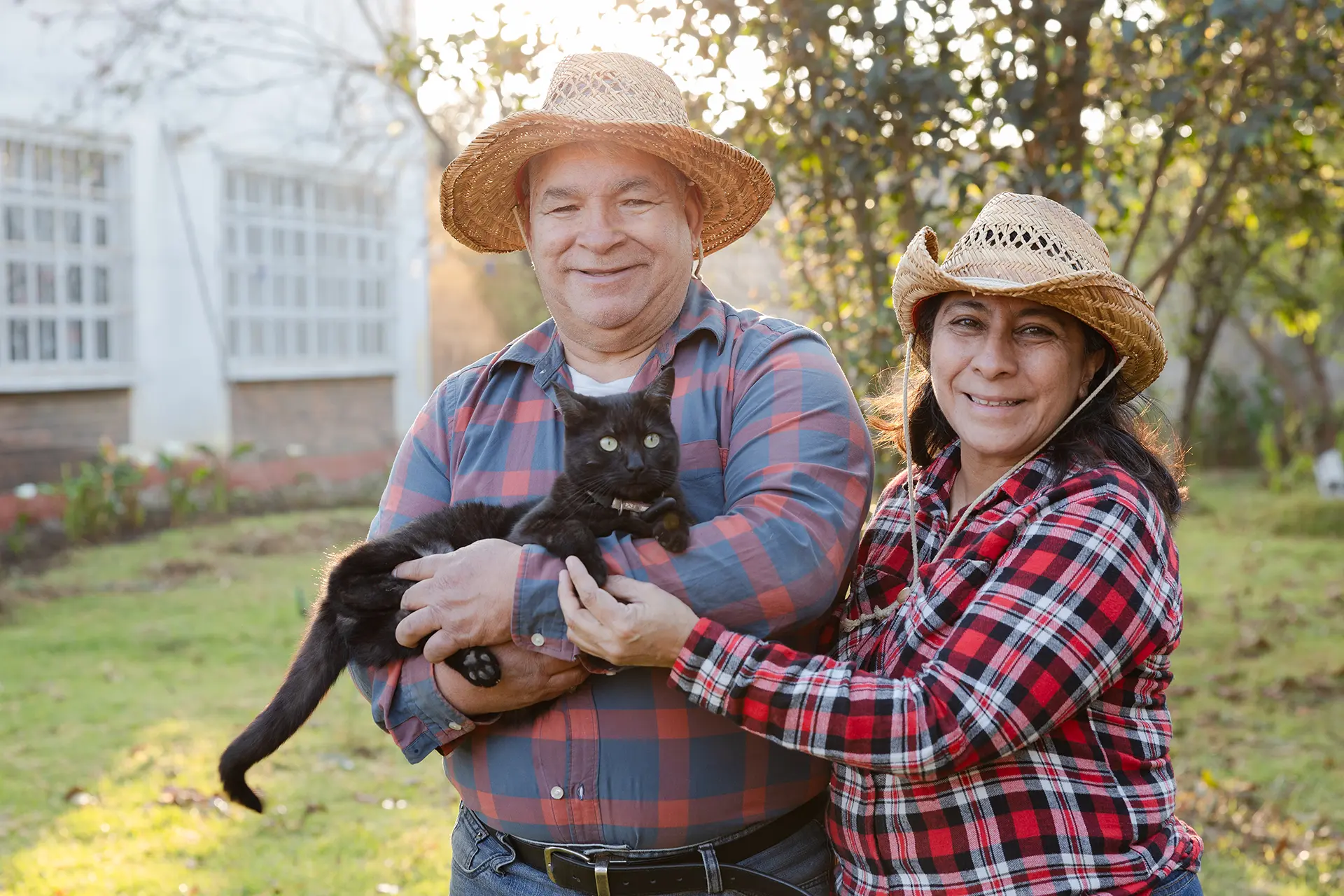 Understanding Your Feline Friend and Building a Stronger Bond